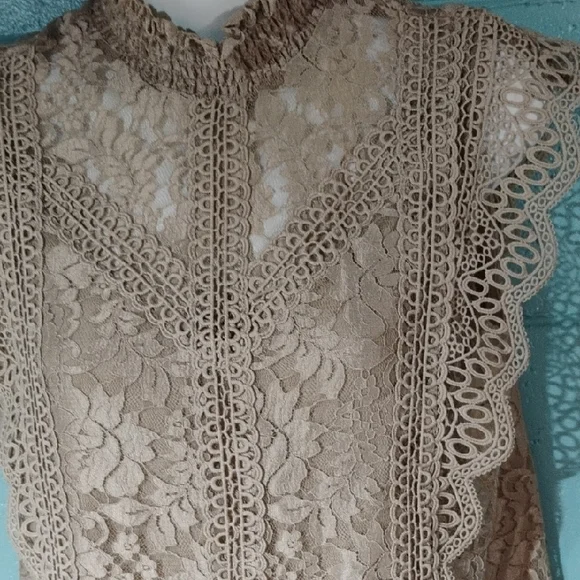 Cable & Gauge Beige Lace Sleeveless Blouse Size Small. - Picture 3 of 9